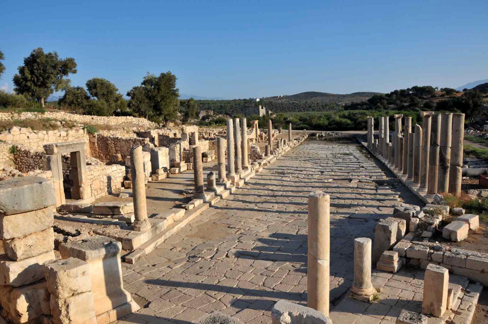 patara antik kenti ve kalıntılarının fotoğrafı.